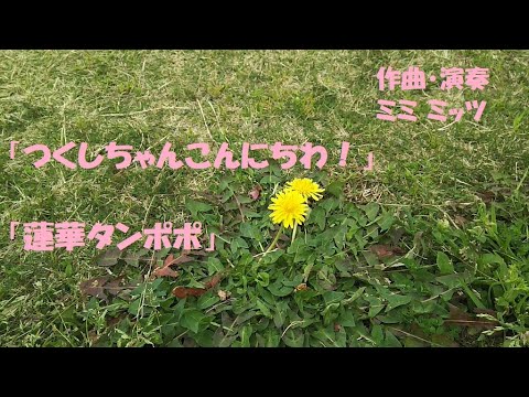 作曲演奏ミミ ミッツ「こんにちわつくしちゃん！」「蓮華タンポポ」