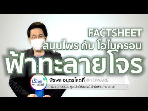 ชัวร์ก่อนแชร์ FACTSHEET : ฟ้าทะลายโจร สมุนไพร กับ โควิด โอไมครอน