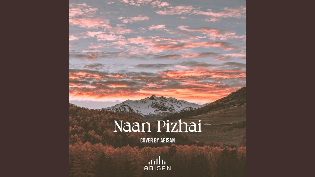 Naan Pizhai