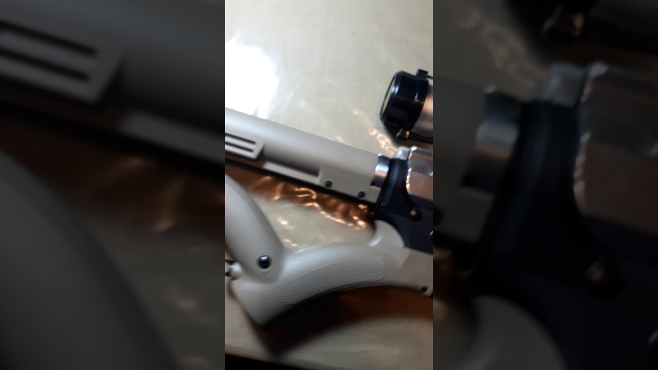 featureless grip and stock