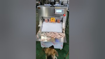 CNC frozen meat cutting roll machine, really easy to use