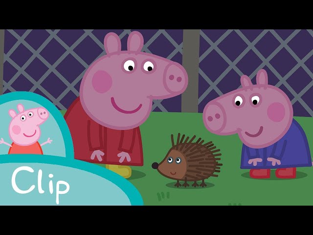 Peppa Pig Becomes Friends With a Hedgehog 🐷🦔 Peppa Pig Official