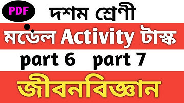 Model Activity Task Class 10 Life Science part 6 & 7 | class 10 model activity task part 6&7