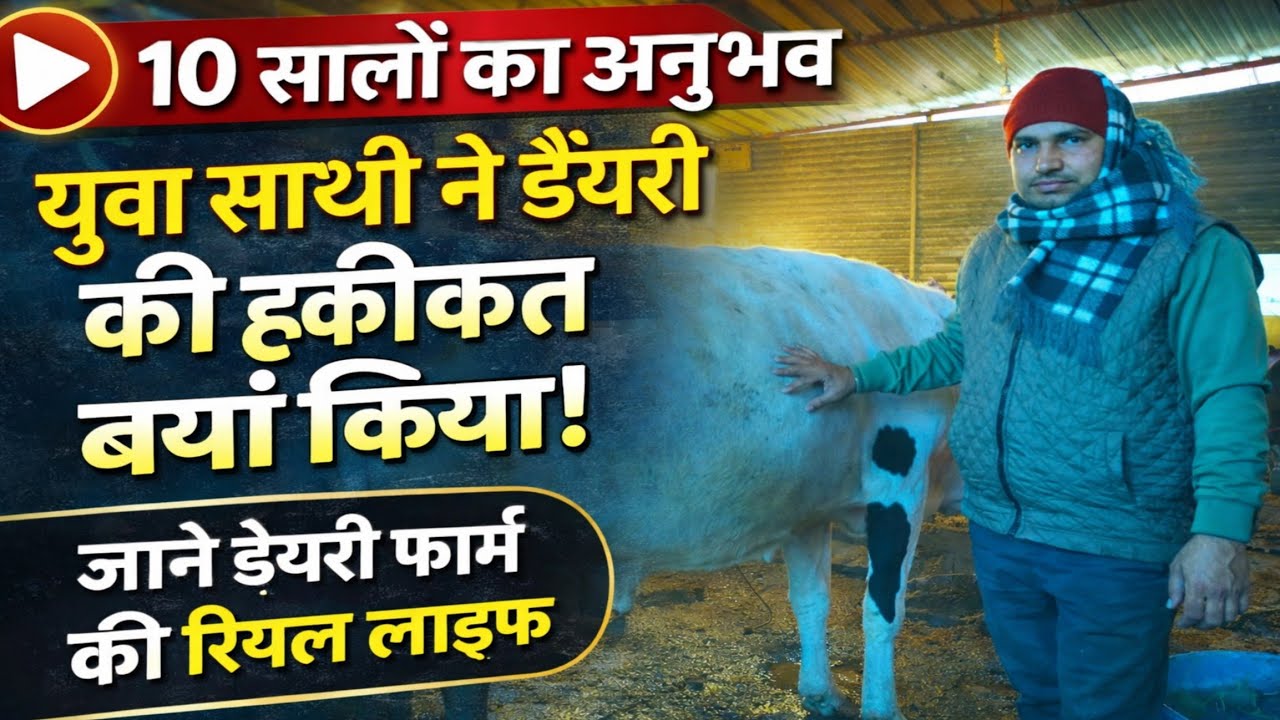 10 सालों से डेयरी चला रहे युवा ने डेयरी की हकीकत बयां किया/small dairy farm/dairy farm patna bihar |