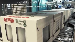 Automatic Wrap-Around Case Packer From International Pack For Packaging Systems