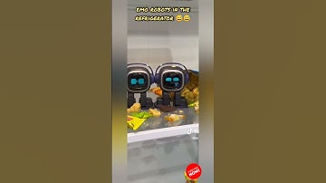 emo robots in the refrigerator #emo #emorobot #emopet #petrobot #airobot #petbot #minirobot #emobot