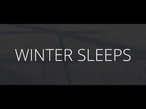 Winter Sleeps // BMPCC 4K // PANASONIC LEICA 12-60 MM