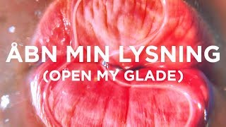 ピピロッティ・リスト (Pipilotti Rist.1962~)『Åbn min lysning (Open ピピロッティ・リスト (Pipilotti Rist.1962~)『Åbn min lysning (Open