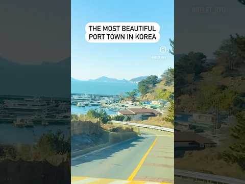 Unforgettable scenery of Korean small port town #busantour #busan