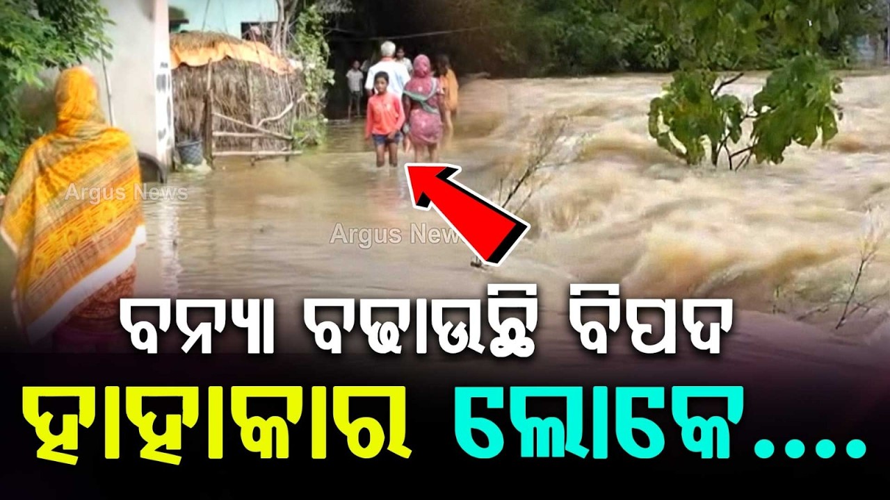Thumbnail for Back-To-Back Floods Devastate Odisha: Over 5 Lakh Affected, Rivers Spilling | Argus News