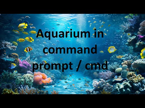 Aquarium in command prompt. #computertricks #cmd #windows #computer #fun #aquarium #aquariumfish