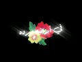 حالة واتس جديدة حلقولو مودي امين شوفت يا فردة 