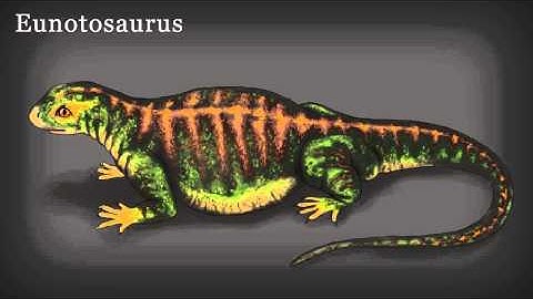 Evolution of the Turtle Shell (Illustrated)