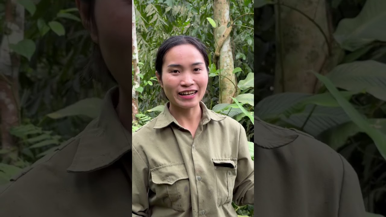 vào rừng mùa này có gì