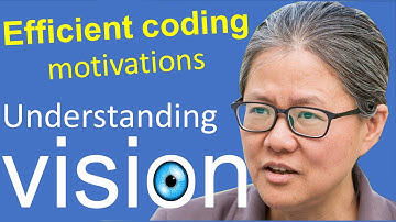 Understanding vision book:  Chap 3, Efficient Coding,  1: Motivation