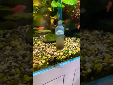 Aquarium Cleaning Pump