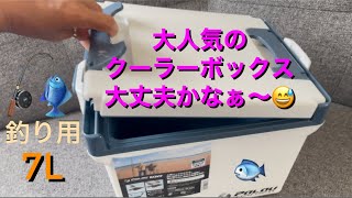 【パラオ】7L 釣り用のクーラーボックス/大人気のクーラーボックス日本型..Cooler box 2021 made in Japan－おすすめクーラーボックス