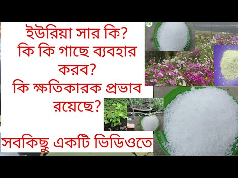 ভিডিও: সার হিসেবে ঘোড়ার সার: কিভাবে জমিতে প্রয়োগ ও সার দিতে হয়? কোন গাছের জন্য এটি ভাল? গরুর চেয়ে ভাল কি? শরৎ এবং বসন্তে শীর্ষ ড্রেসিং