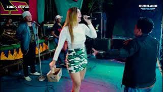 TRIAS MUSIK - LALI JANJINE EVIS RENATA - PERNIKAHAN ALFIAN NUR ROHIB & AGILYA MELINDA