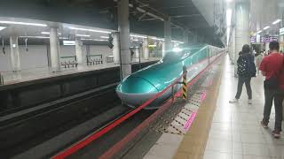 東北新幹線　やまびこ57号盛岡行き　E5系U43編成　上野駅にて