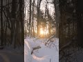 George Winston - "Joy" Clip - Snow/Nature