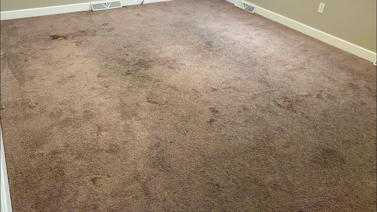 Super Dirty Carpet Cleaning Greensboro NC, Summerfield NC, Randleman