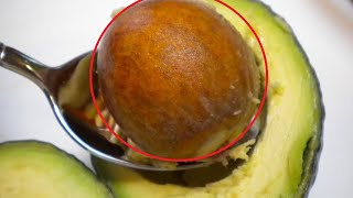 Watch This Video and You Never Throw Away Avocado Seeds Again