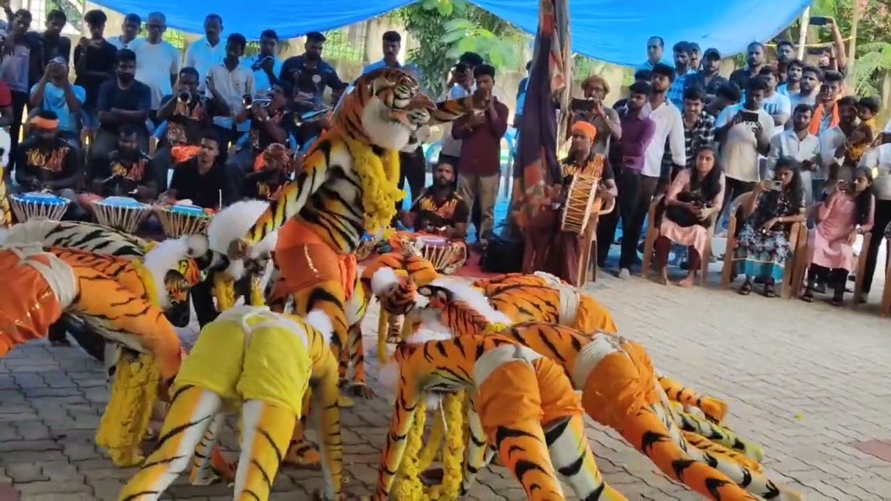 manipal tigers manipal first year pilli dance🐯🐯🐯#pilinalike