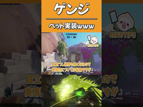 ゲンジにドラゴンのペットが実装されてるってマ Shorts