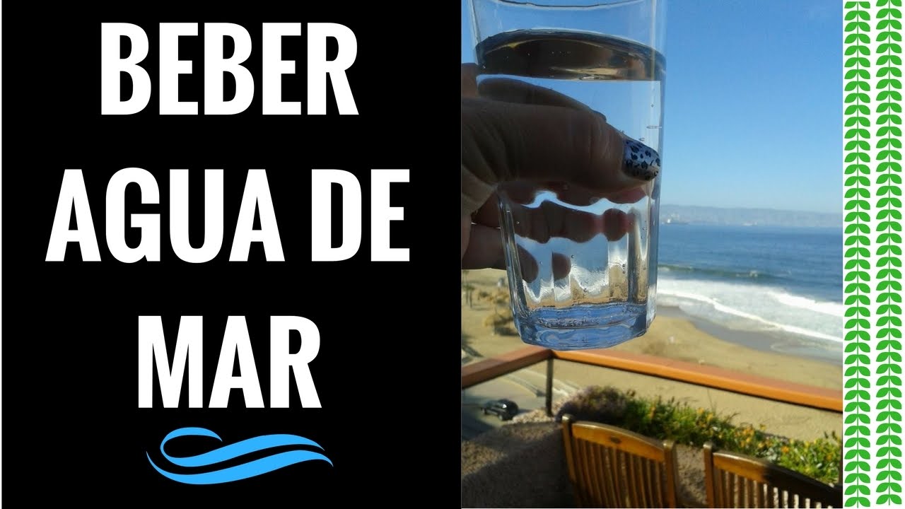 🔴Beneficios de Beber Agua de Mar 🌊 Es Posible la Intoxicación en los  Perros por Beber Agua de Mar ❓ 