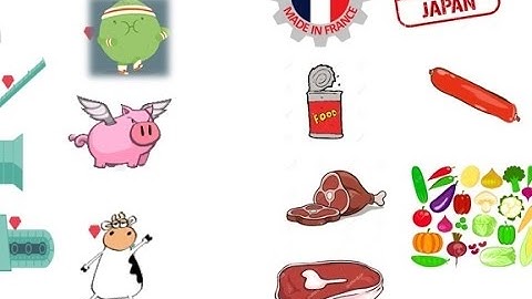 TheLogisticom2016_Skylight_VissanVietnam