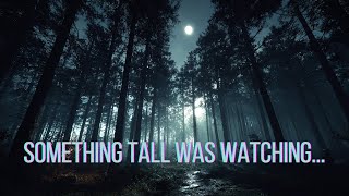 Missing 411 Sleep Stories | Bigfoot Encounters in the Dark Forest
