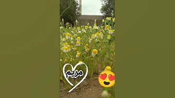 احلى كلام لكل بنت اسمها مريم 