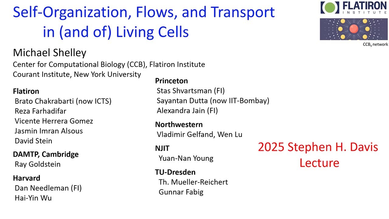 Self-Organization, Flows, and Transport in (and of) Living Cells
