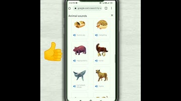 Fun Google Tricks  | #Google search tricks you must know #shorts