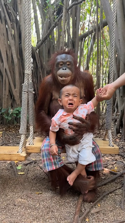 Jab me Chota tha Tab Gorilla 😢