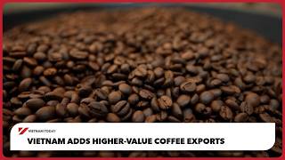 Vietnam adds higher-value coffee exports | Vietnam Today screenshot 5