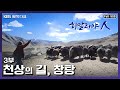 [명작다큐] 마지막 남은 천상의 유목민 창파족 | 히말라야人 3부 천상의 길, 창탕 (KBS 140417 방송)