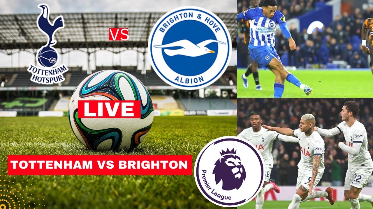 Live stream spurs v brighton hotsell
