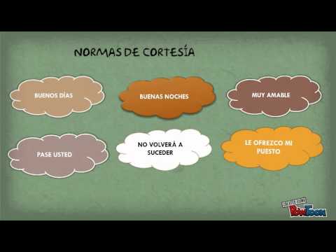 Vídeo: Diferencia Entre Cortesía Y Respeto