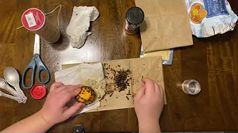 Pomander Ball How-to