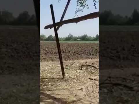 سودانية24 مزرعة للبيع الحلفايا تفتح على شارع مور شمال الكبرى سوداني