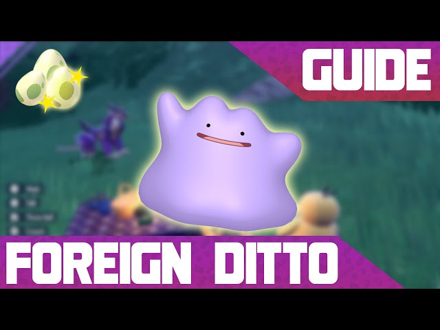 Give you a japanese ditto for masuda method breeding by Darkmind094