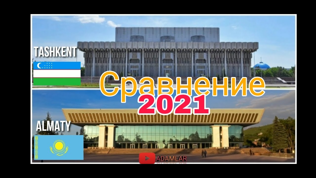 Алматы ташкент на машине