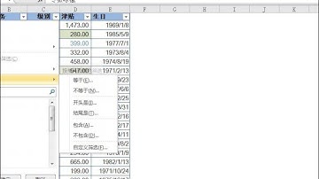 Excel2010灵活筛选数据