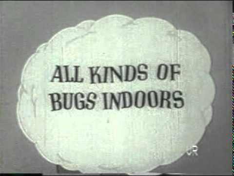 Classic Tv Commercial Raid House Garden Bug Killer Youtube