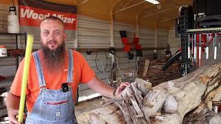 This Is Not What You Want To Find Inside A Log At The Sawmill,
