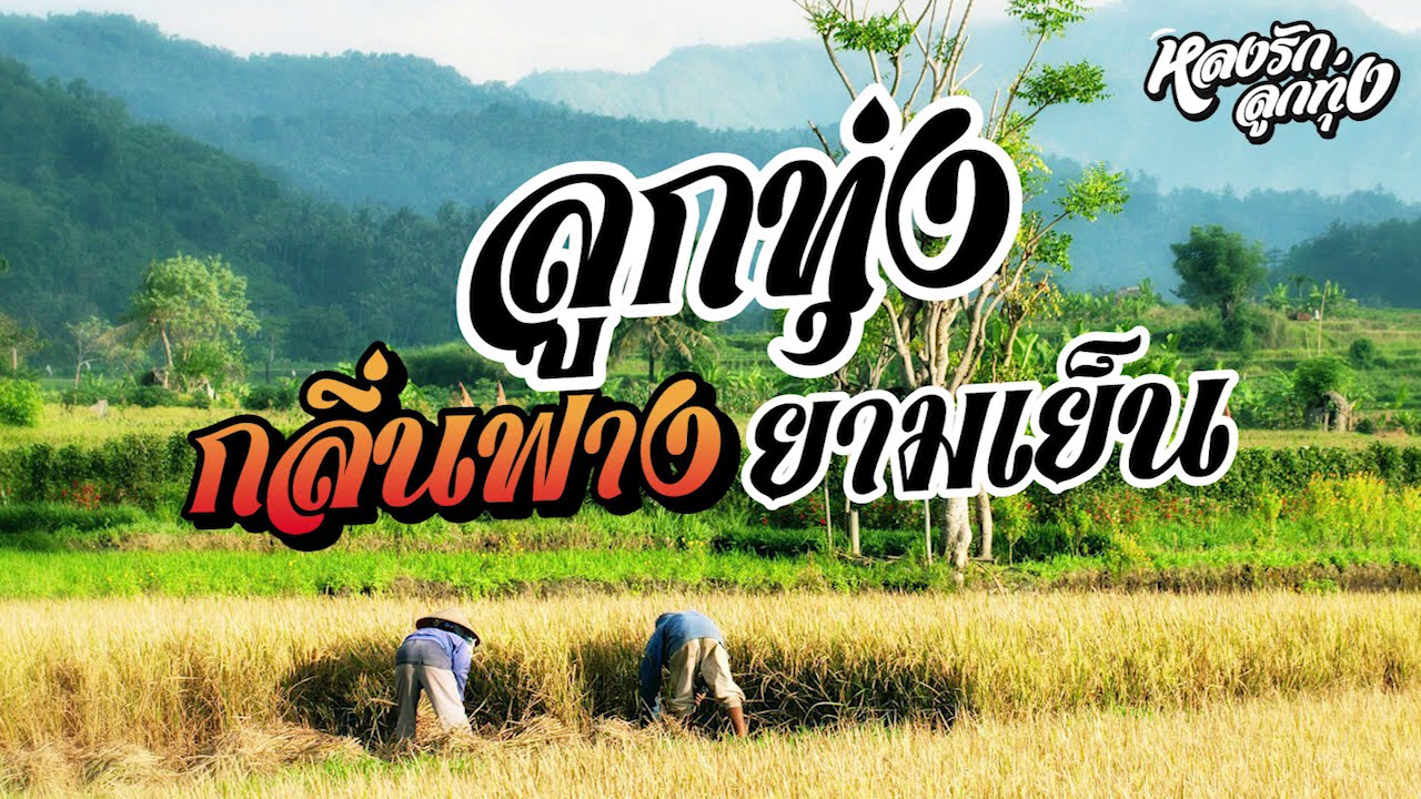 📌น้ำตานาง - พบเธอที่จันทบุรี ] ลูกทุ่ง กลิ่นฟางยามเย็น