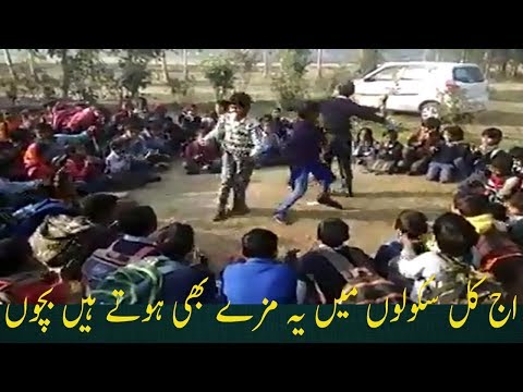 English Essaystani school talented kid, Whatsapp Learningnny staFinance Courseworkignment video English Essaystani school talent