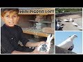 My Nephew's Mini Pigeon Loft | Lucknow